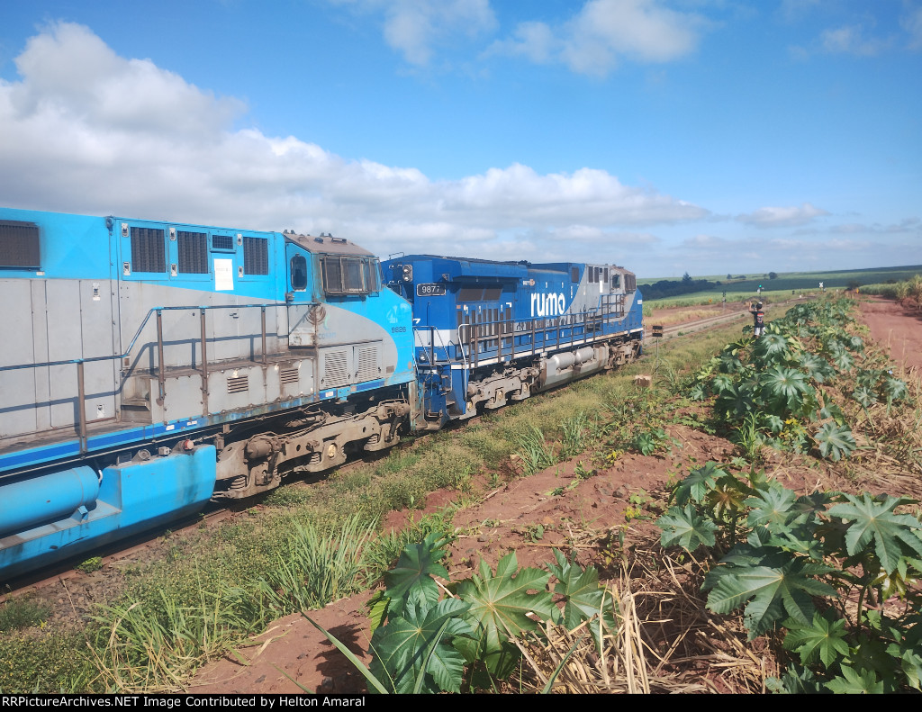 RUMO 9877
